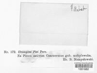 Image Associated With the Occurence
